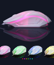 c3d579048426b37d190c74f4c03c902f